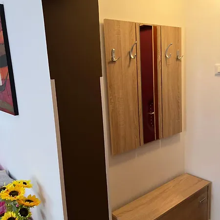 Ritosa-izola Apartment *